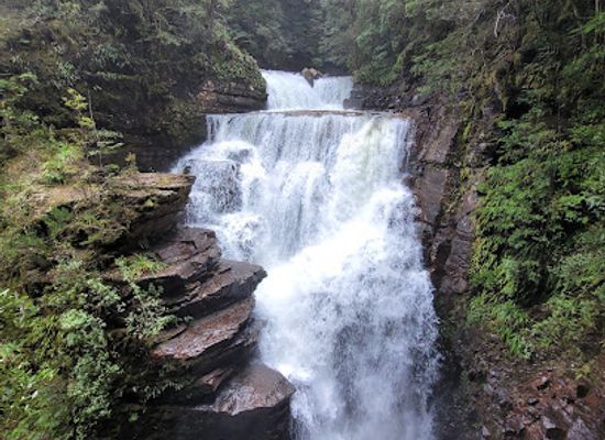 australia/tasmania/attraction/d-alton-falls