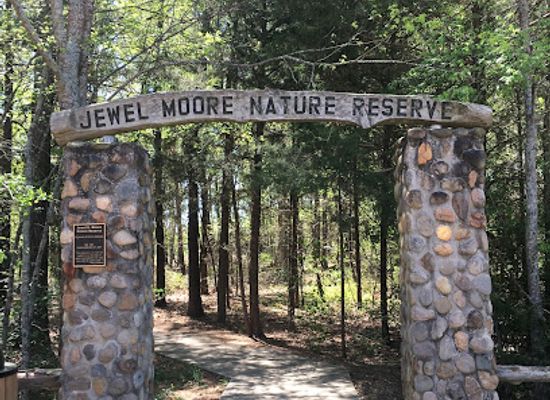 arkansas/conway/attraction/jewel-moore-nature-reserve