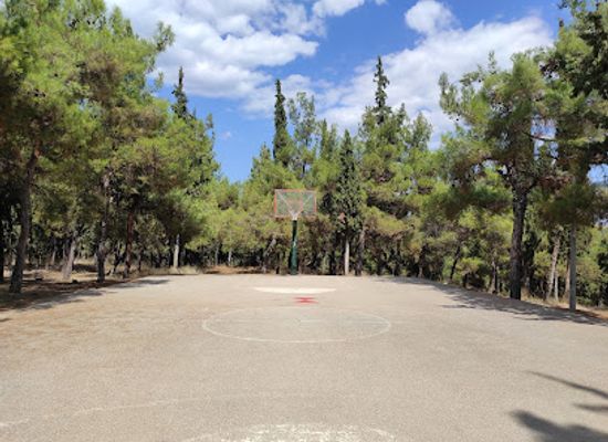 greece/lamia/attraction/pefkodendra-grove