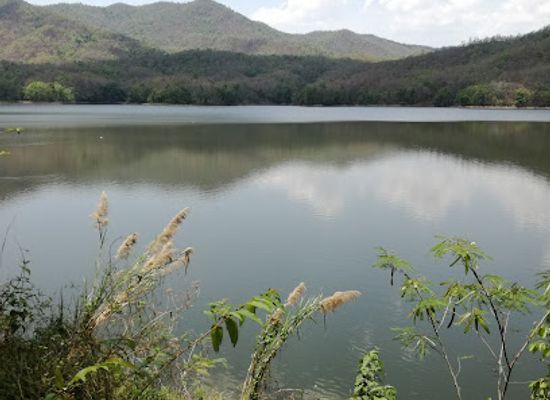 thailand/phi-pan-nam-range/attraction/wiang-lo-wildlife-sanctuary