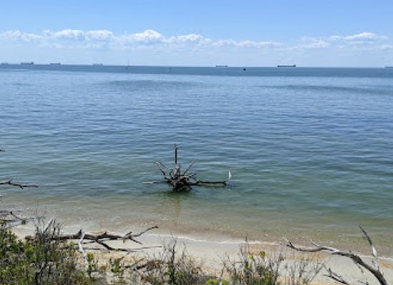virginia/eastern-shore/attraction/cape-charles-natural-area-preserve