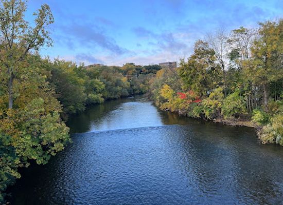 michigan/ann-arbor/attraction/fuller-park