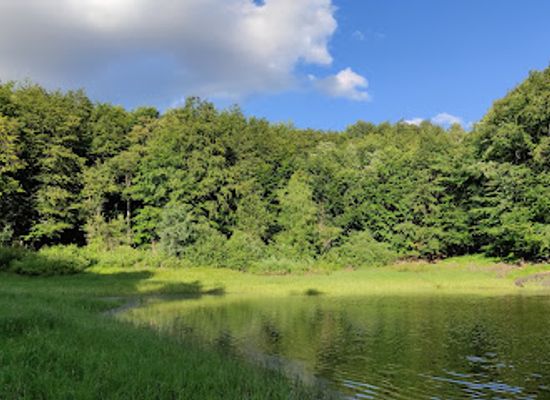 slovakia/zemplinska-sirava/attraction/kotlik