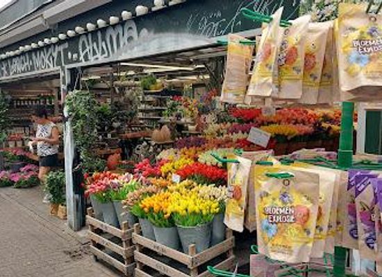 netherlands/amsterdam/attraction/flower-market