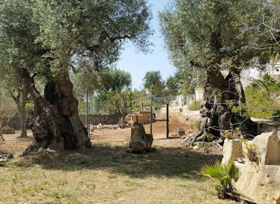 italy/puglia/attraction/farfalia-casa-delle-farfalle