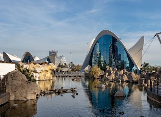 spain/valencian-community/attraction/ciudad-de-las-artes-y-las-ciencias