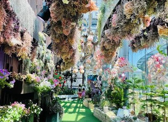 singapore/marina-bay/attraction/floral-fantasy