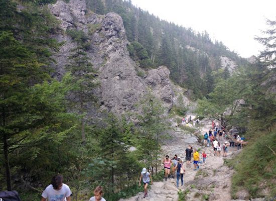 poland/tatra-mountains/attraction/sarni-wodospad