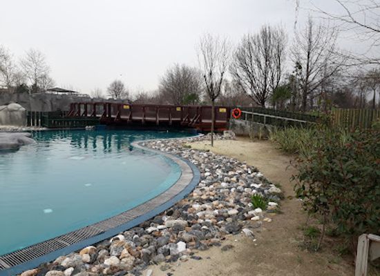 turkiye/uludag/attraction/bursa-zoo