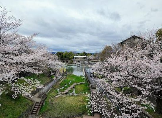 japan/kyoto/attraction/keage-incline