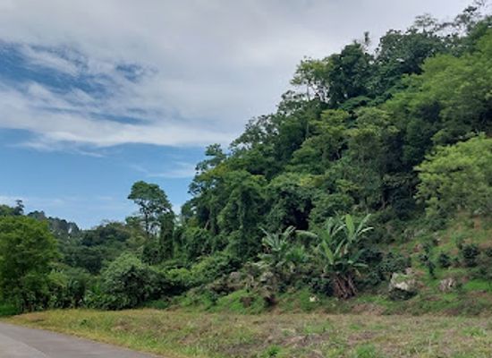 honduras/lago-de-yojoa/attraction/kayak-naturaleza-del-lago-de-yojoa