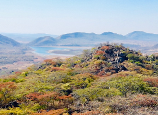 zimbabwe/mashonaland-west/attraction/miombo-park