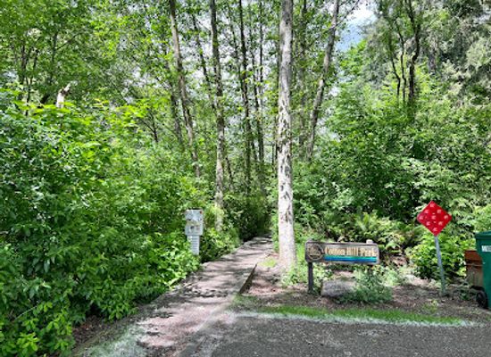 washington/kirkland/attraction/cotton-hill-park