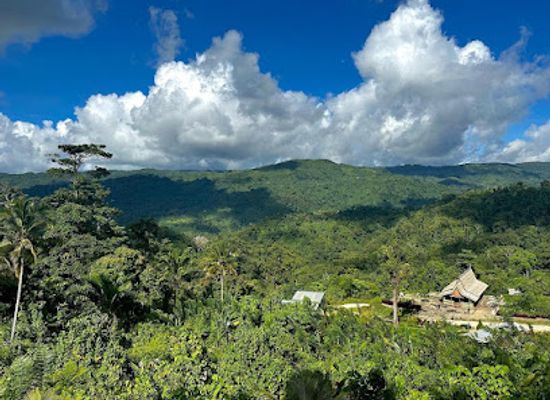 solomon-islands/auki/attraction/nunu-ecolodge