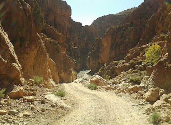 morocco/saharan-morocco/attraction/tinghir-oiasis-hike