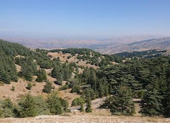 lebanon/anjar/attraction/shouf-biosphere-reserve-barouk-cedar-forest