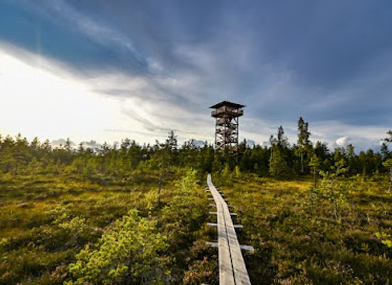 estonia/jogevamaa/attraction/mukri-raba-vaatetorn