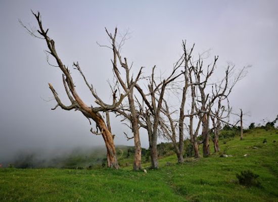 haiti/ile-a-vache/attraction/pic-macaya-national-park