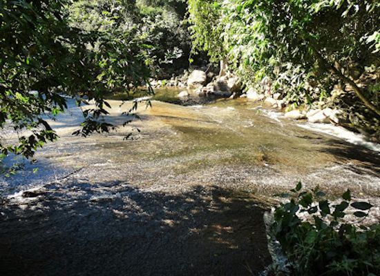 brazil/atlantic-forest/attraction/circuit-gold-trail