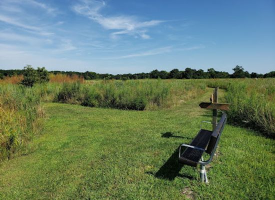 illinois/prairie-state/attraction/ballard-nature-center