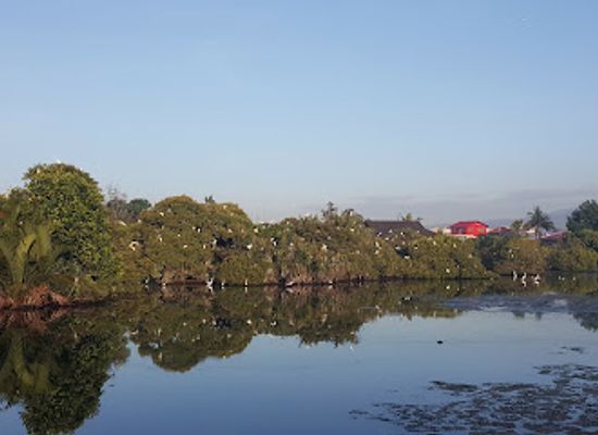 philippines/zamboanga-city/fort-pilar/attraction/zscmst-bird-sanctuary