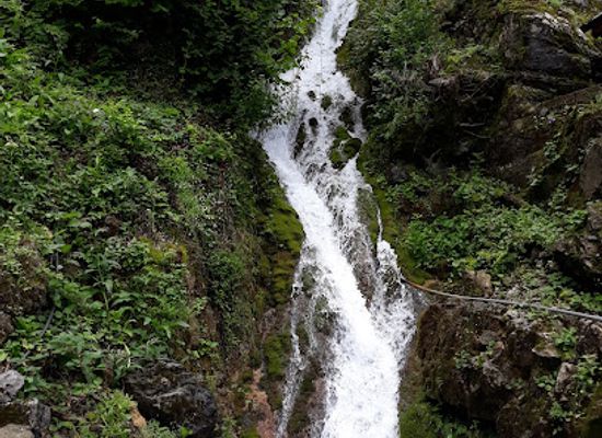 romania/caras-severin/attraction/manastirea-calugara