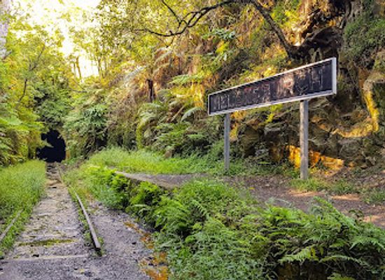 australia/illawarra/attraction/old-helensburgh-station