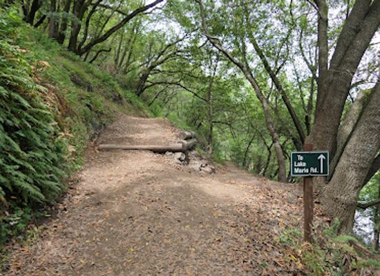 california/wine-country/attraction/skyline-wilderness-park
