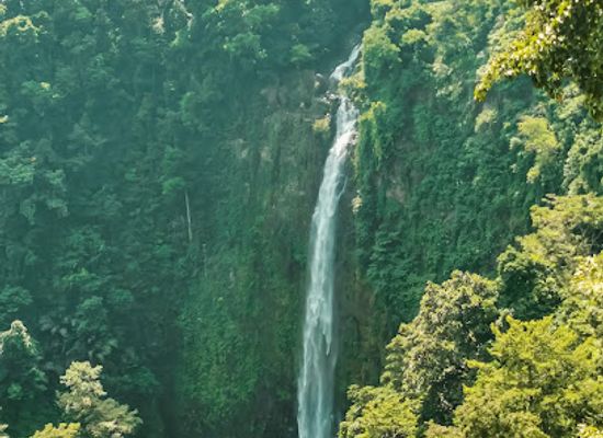 philippines/mindanao/attraction/abaga-falls