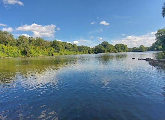 romania/arad/attraction/mures-floodplain-natural-park
