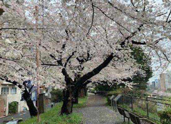 japan/tokyo/attraction/sotobori-park