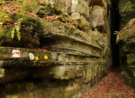 luxembourg/mullerthal/attraction/kuelscheier