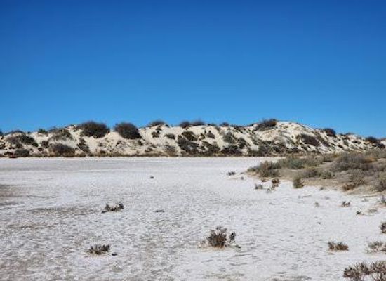 new-mexico/white-sands-national-park/attraction/playa-trail