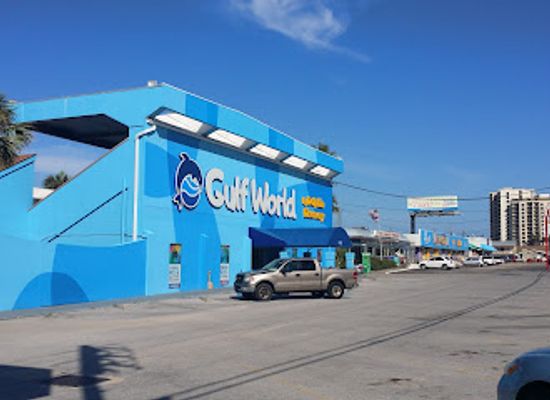 florida/panama-city-beach/attraction/gulf-world-marine-park