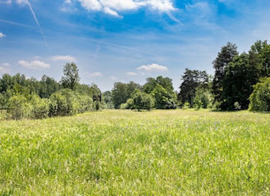 hungary/southern-great-plain/attraction/botanical-garden-soroksar