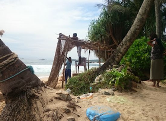 sri-lanka/unawatuna/attraction/the-palm-rope-swing