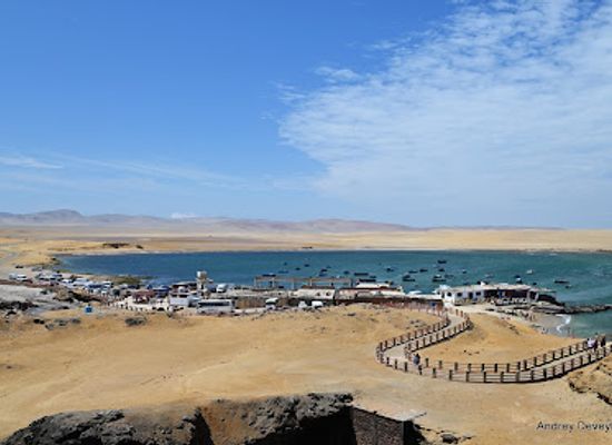 peru/paracas-national-reserve/attraction/playa-lagunilla-de-las-algas