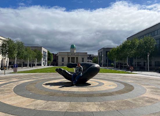 ireland/county-dublin/attraction/the-wishing-hand