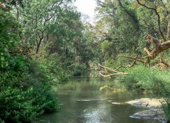 malawi/lilongwe/attraction/lilongwe-wildlife-centre