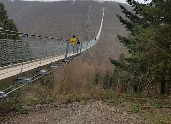 germany/rhineland/attraction/walderlebnis-hunsrueck