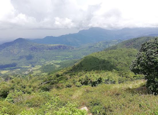 sri-lanka/matale-district/attraction/knuckles-forest-reserve