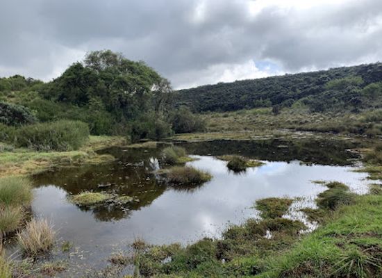 kenya/nyandarua-range/attraction/aberdare-national-park