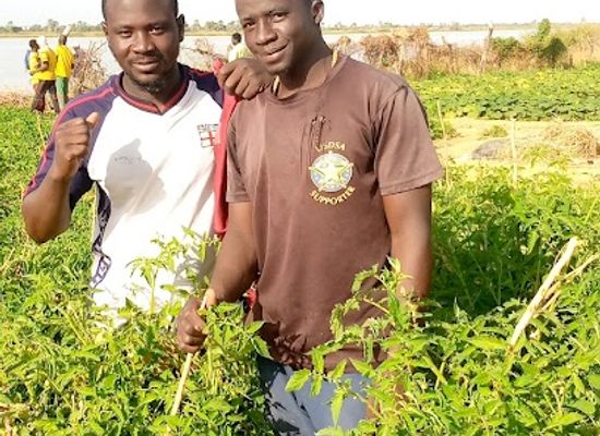 mali/segou/attraction/quartier-somono-somono-so