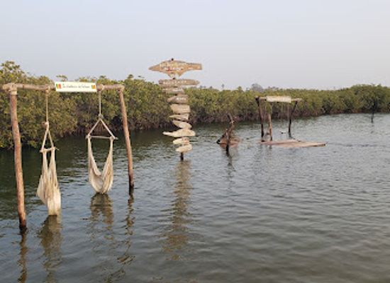 senegal/sine-saloum-delta/attraction/les-aventuriers-du-saloum