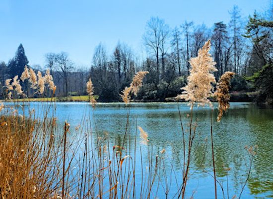 belgium/hainaut/attraction/parc-du-domaine-solvay