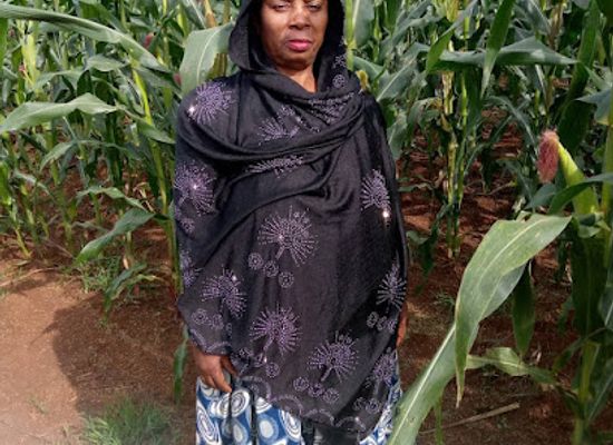 cameroon/adamawa/attraction/socomanga