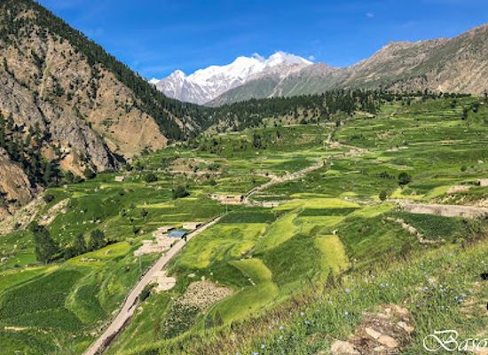 pakistan/fairy-meadows/attraction/rama-meadows