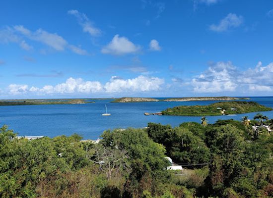 antigua-and-barbuda/redonda/attraction/stingray-city-antigua