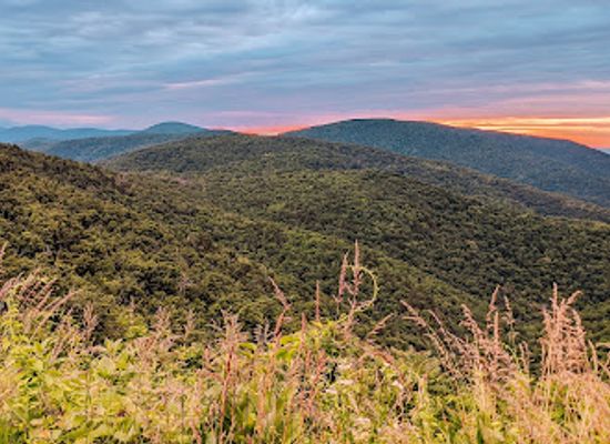 virginia/skyline-drive/attraction/ivy-creek-overlook