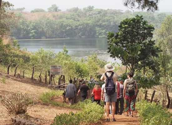 cameroon/east-region/attraction/ranch-de-ngaoundaba